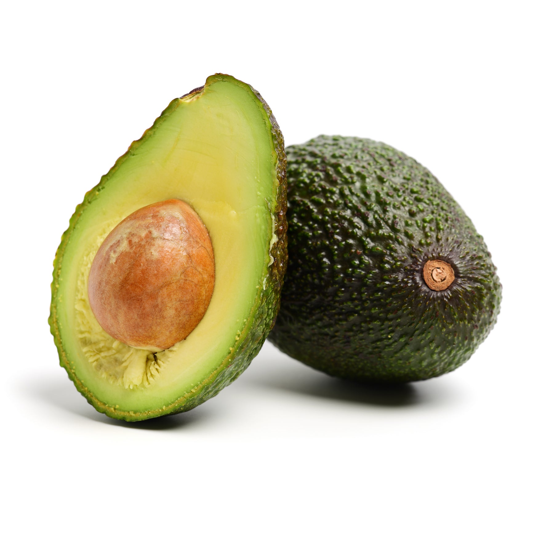 Hass Avocado - Grafted