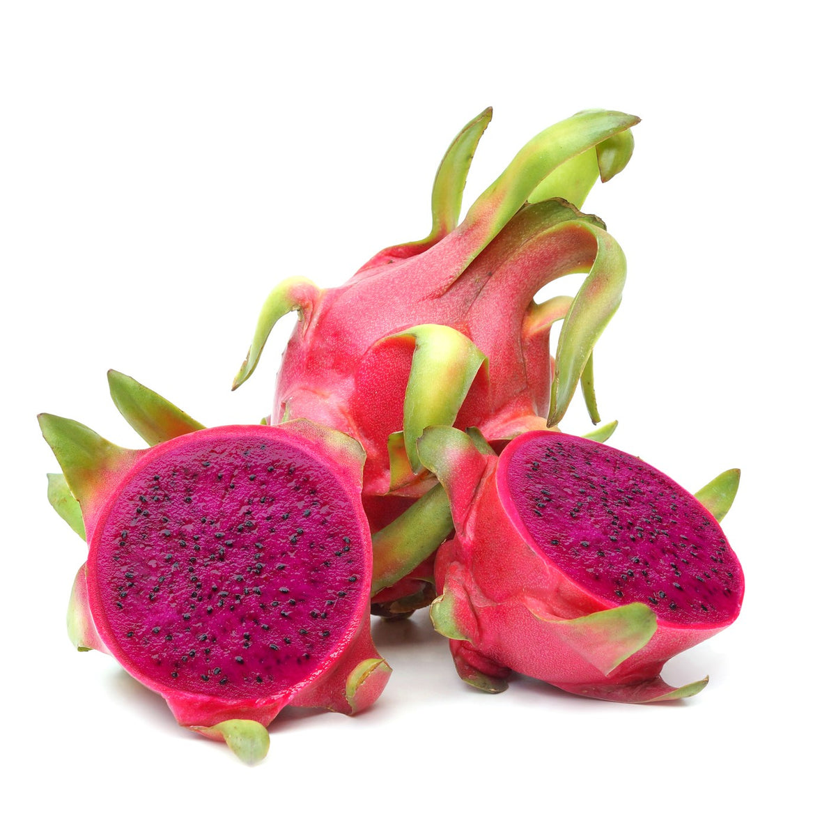 Red Dragonfruit - Rooted in Pot