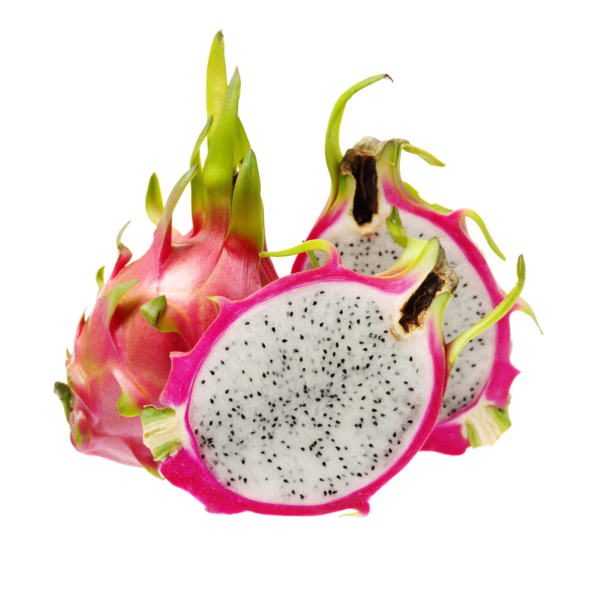 White Dragonfruit - Rooted in Pot