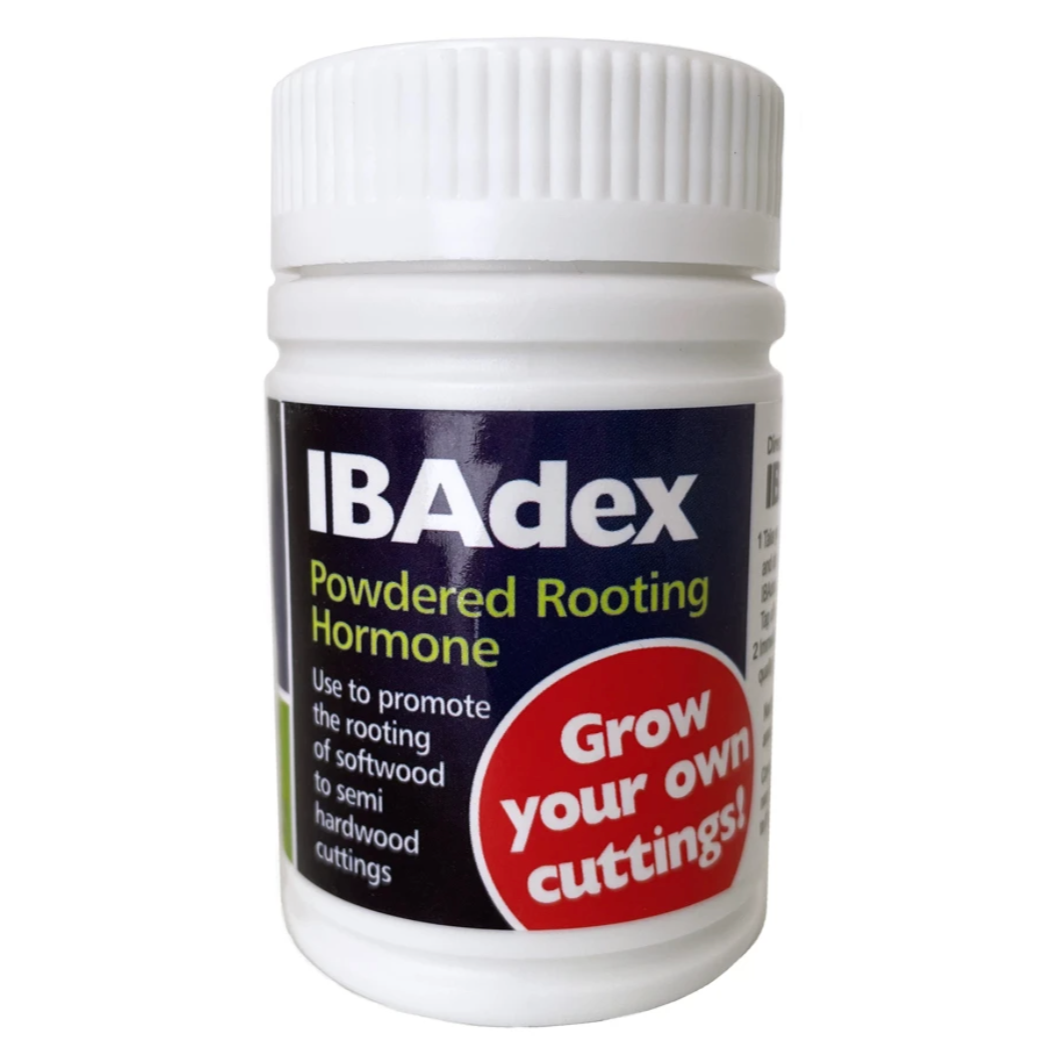 Ibadex Powdered Rooting Hormone 25g