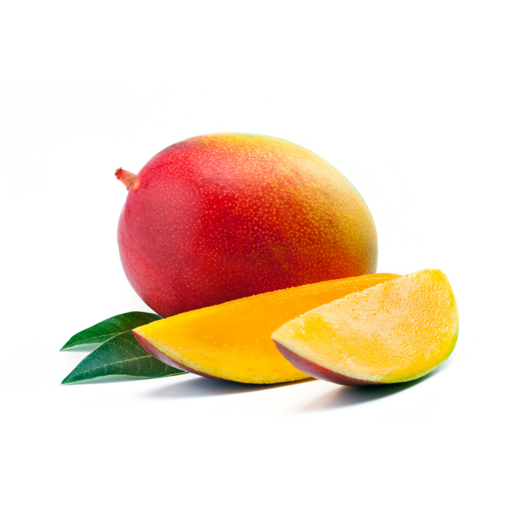 Kent Mango Plants