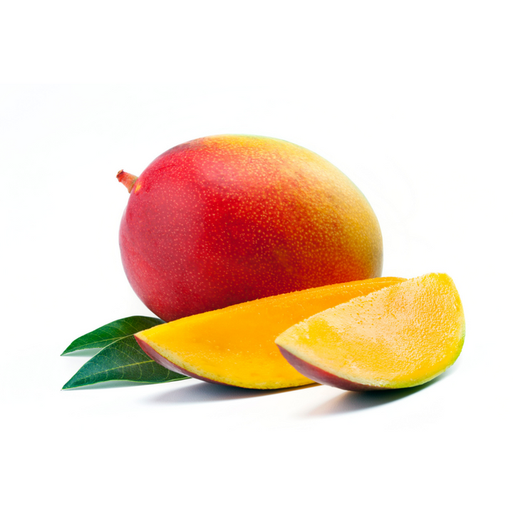 Kent Mango Plants