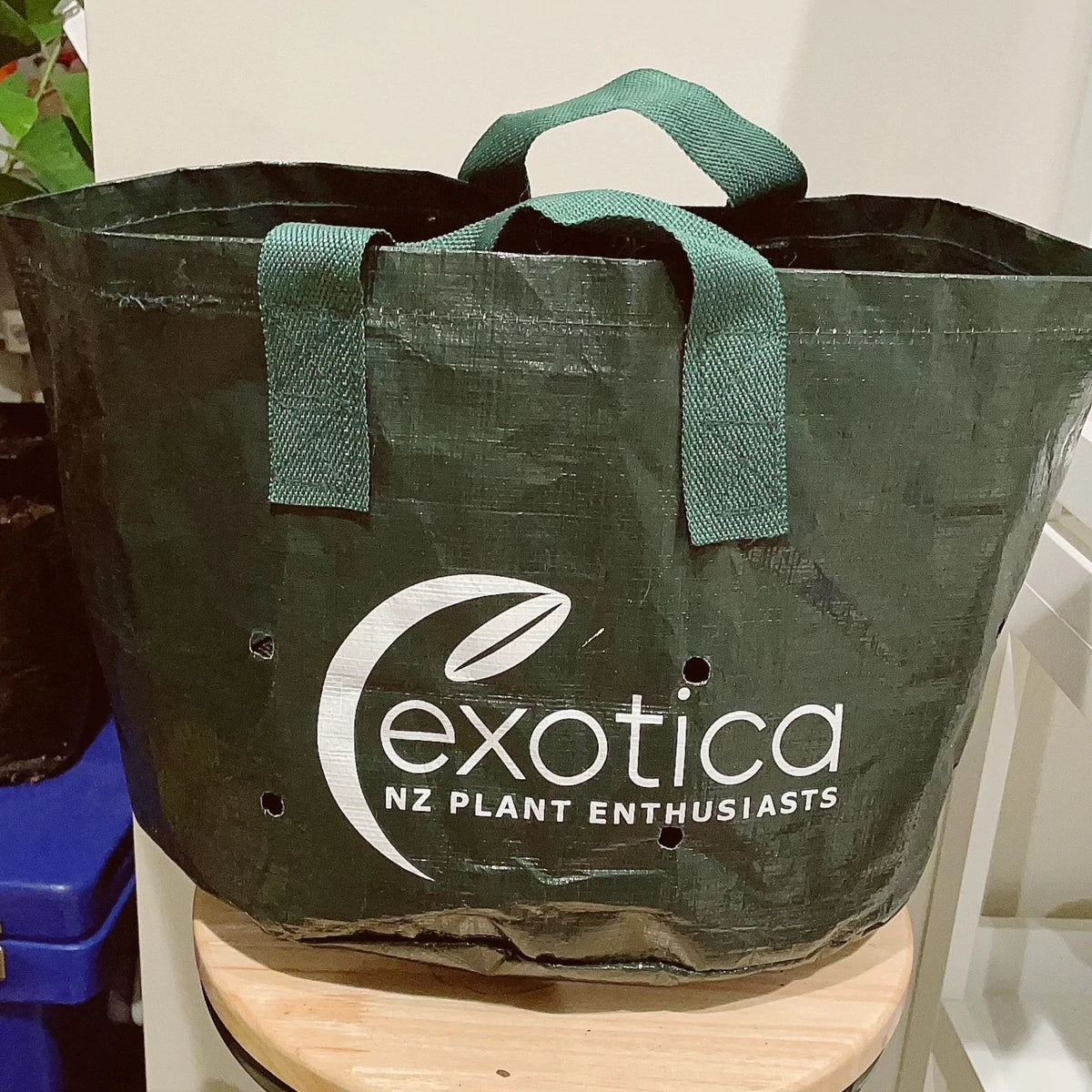Exotica EasyMove Woven Planter Bag