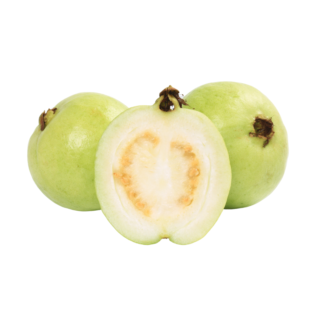 Indian White Guava / Lucknow L49